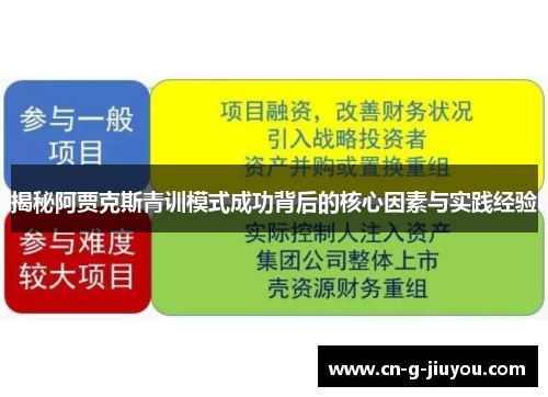 揭秘阿贾克斯青训模式成功背后的核心因素与实践经验