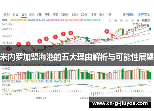 米内罗加盟海港的五大理由解析与可能性展望 米内罗加盟海港的五大理由解析与可能性展望