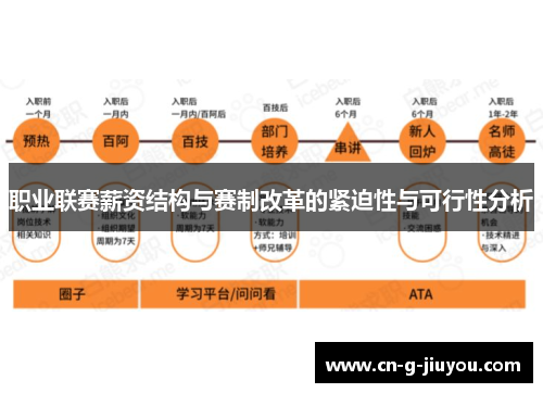 职业联赛薪资结构与赛制改革的紧迫性与可行性分析